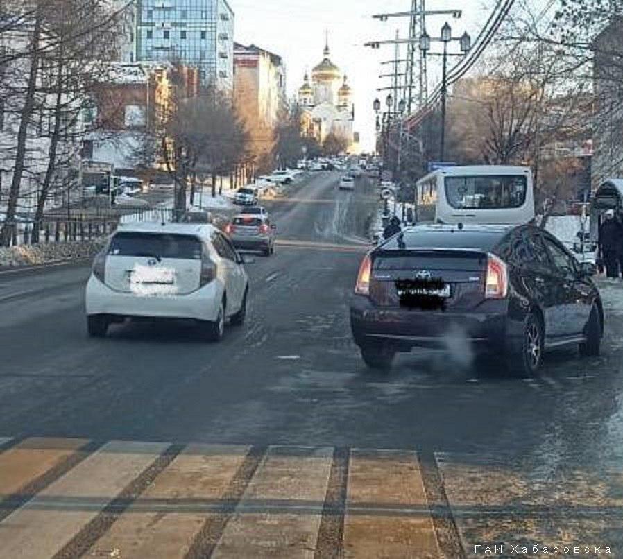 Косуля попала под машину на дороге в Хабаровске