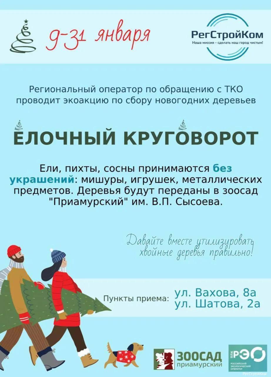 О том, куда сдать новогоднюю елку, рассказали хабаровчанам 