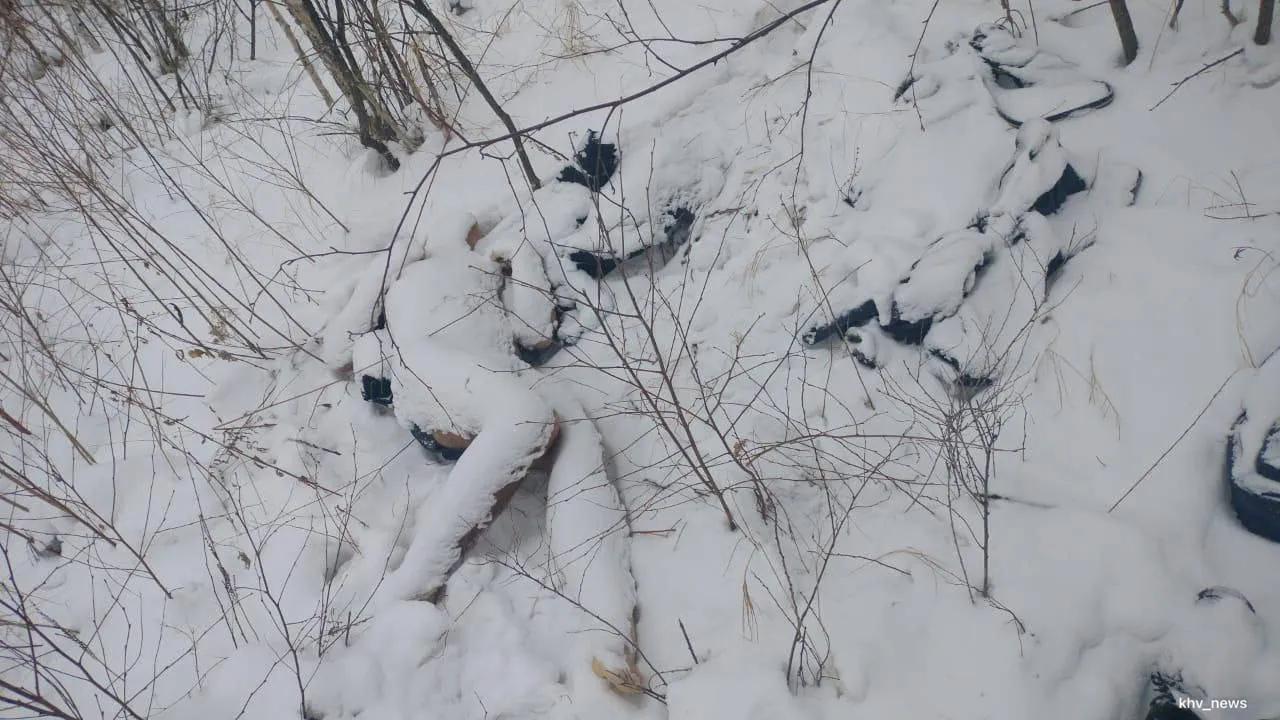 Студент из Хабаровска, которого искали больше месяца, замерз насмерть