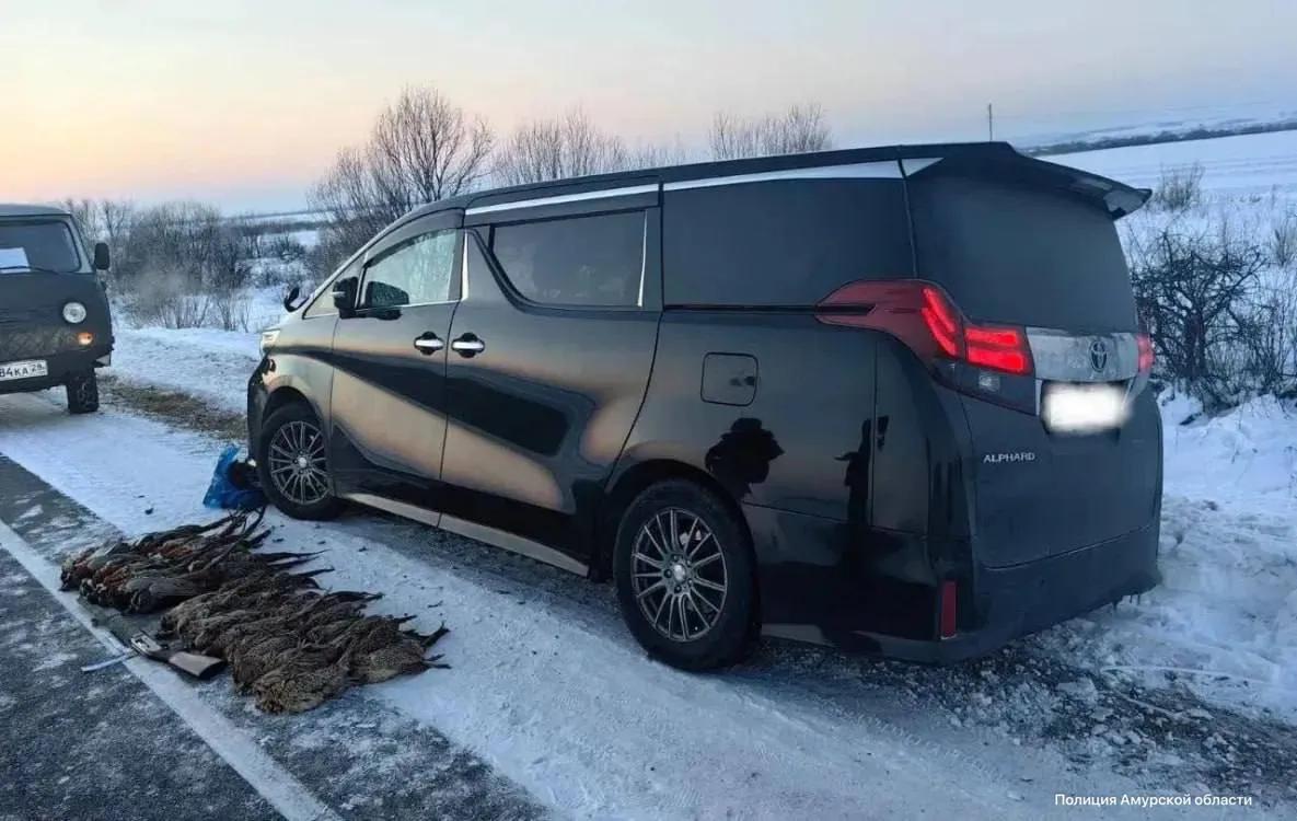 Браконьеры из Хабаровска подстрелили 36 фазанов и попали в аварию, пытаясь скрыться от инспекторов 